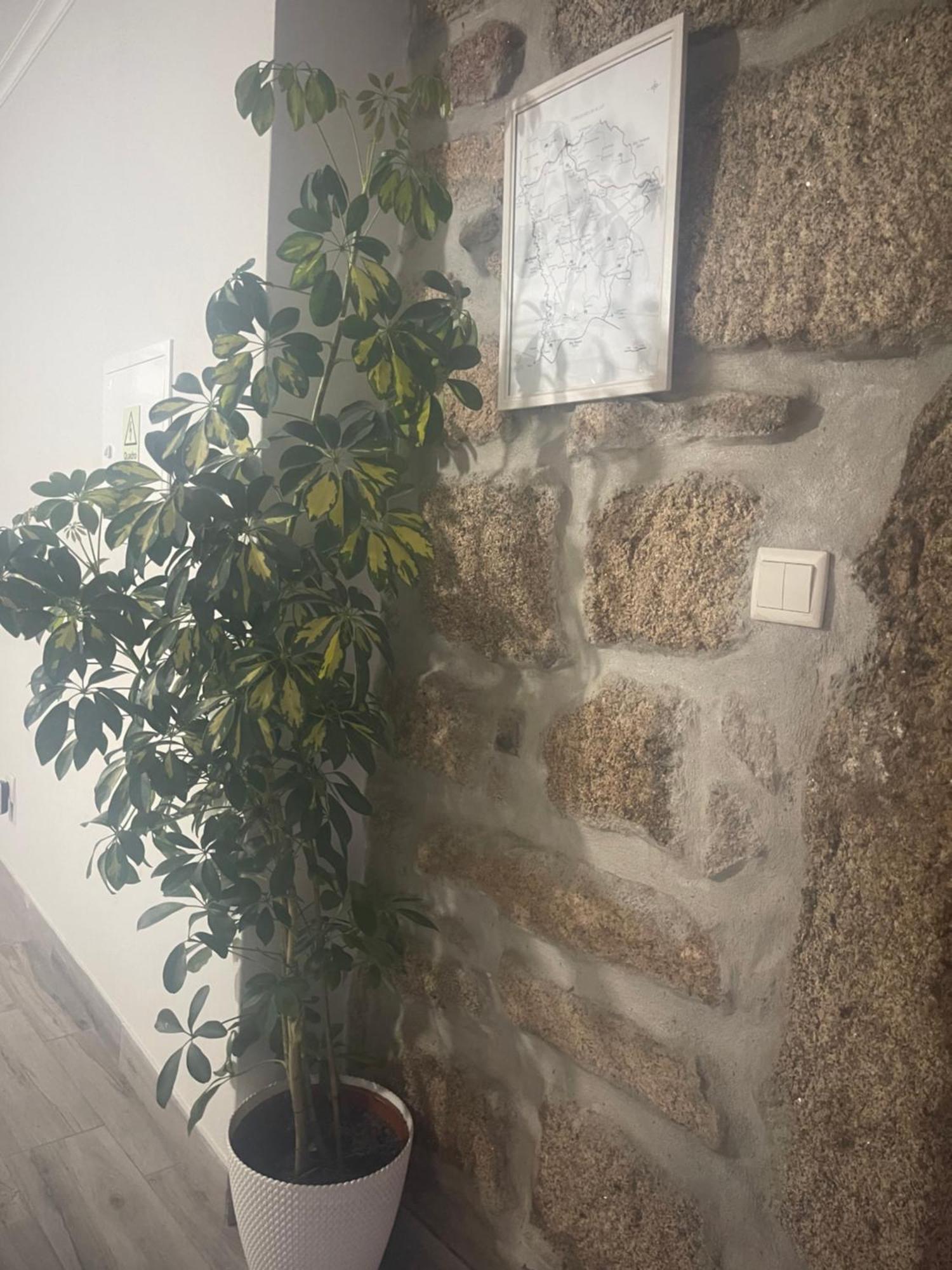 Casa Da Burra Villa Alijó Екстериор снимка